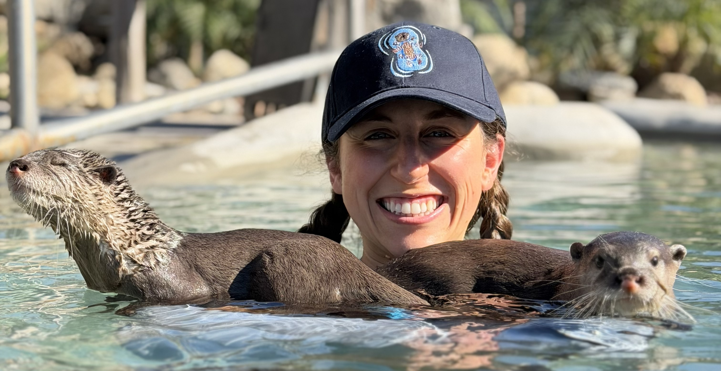 A smiling woman chest-deep in the pool with two otters draped across her shoulders
