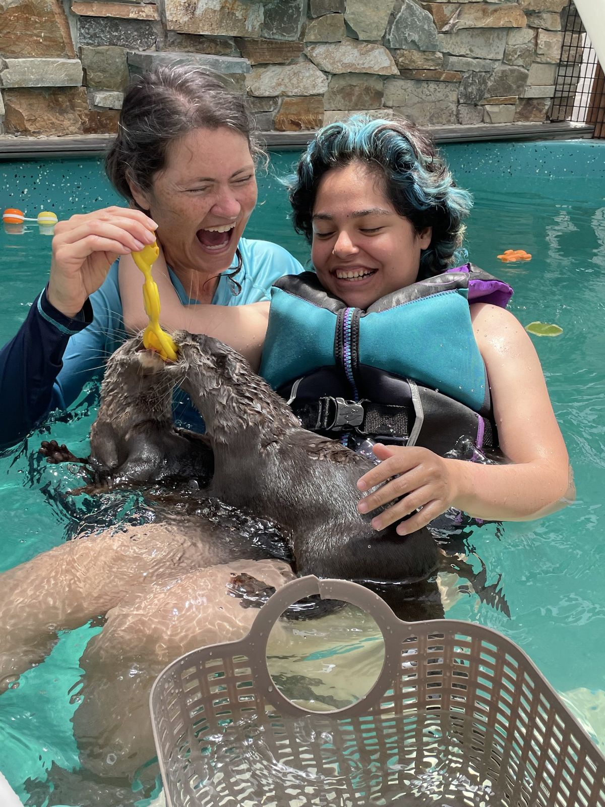 A staff member and a guest in a life vest laughing as two otters reach for a yellow toy in the pool